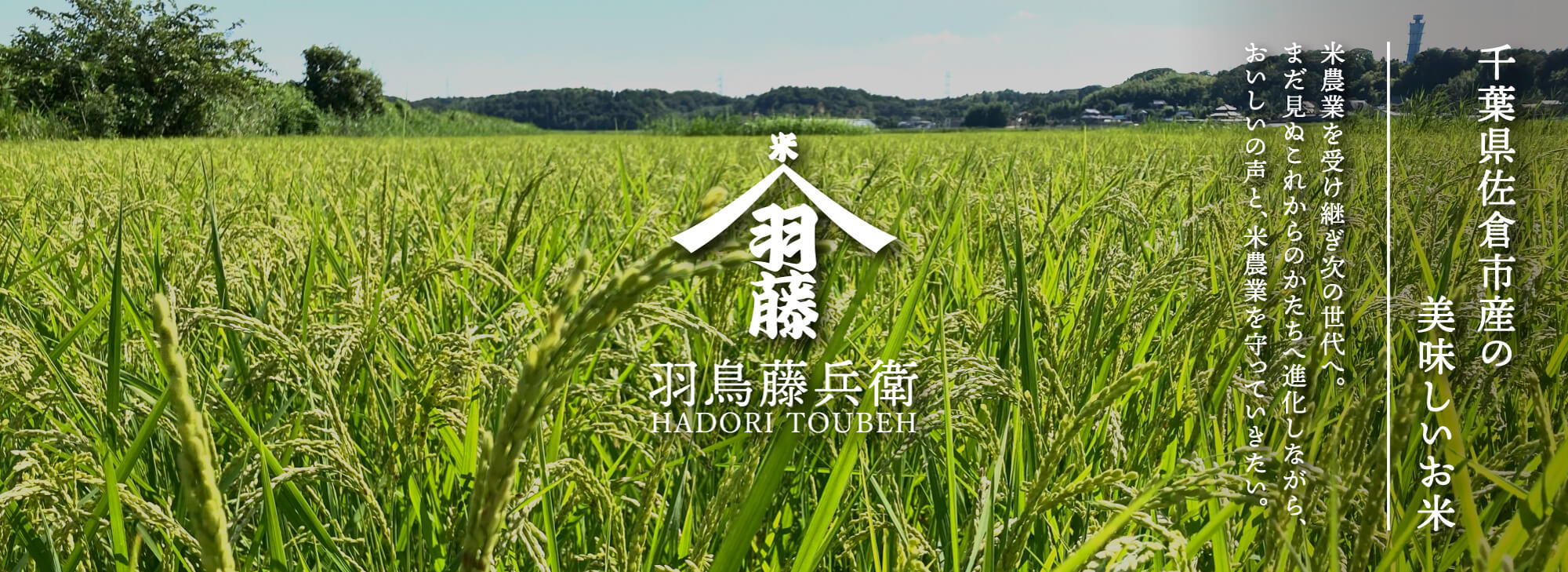 トップバナー